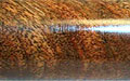 Spalted Birch (Bluish black streaks)