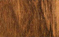 English Walnut (not burl)