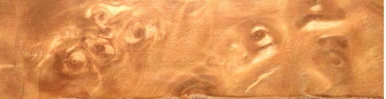 White Birch Root Burl