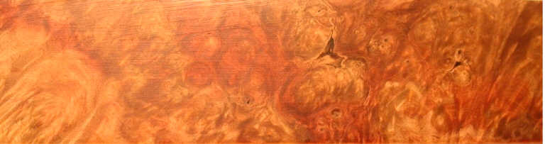 Flame Box Elder Burl