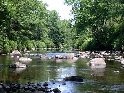 About River Ridge Products About River Ridge Products